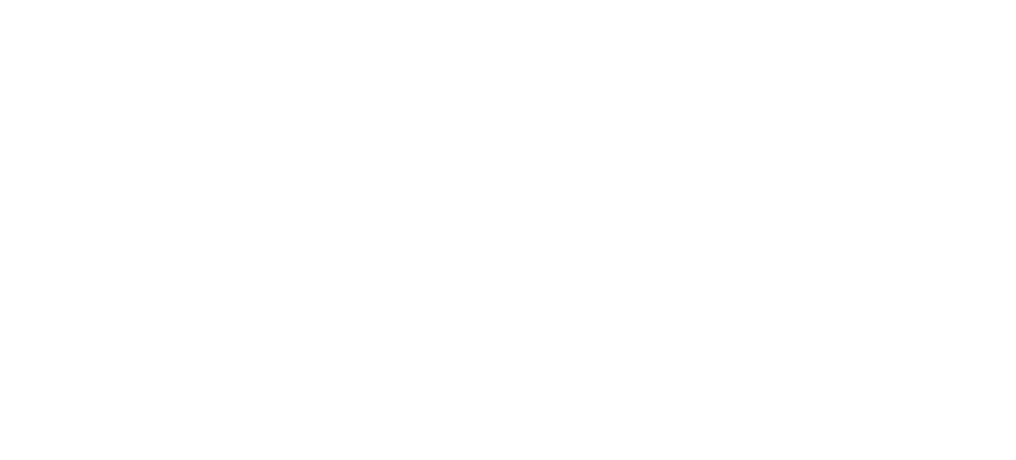 AAPP Logo H - WHT